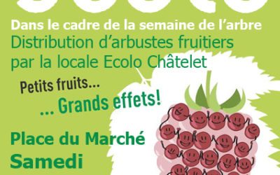 Distribution de petits fruitiers