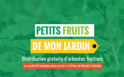 Distribution de petits fruitiers