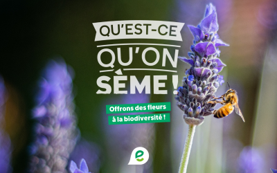 Qu’est-ce qu’on sème?