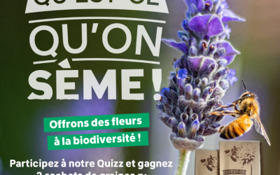 « Qu’est-ce qu’on sème ! » : La biodiversité, c’est notre assurance vie pour demain !