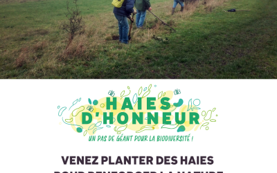 Yes We Plant 100m de Haies !